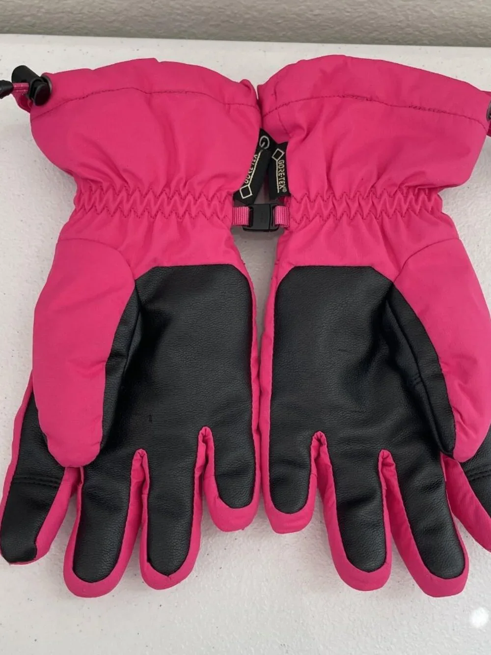 The North Face brand north
